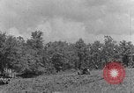 Immagine di Agriturismo Kentucky United States USA, 1940, secondo 25 filmato di repertorio 65675050013