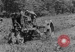 Immagine di Agriturismo Kentucky United States USA, 1940, secondo 35 filmato di repertorio 65675050013