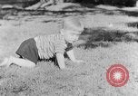 Immagine di Piccolo Ragazzo Kentucky United States USA, 1940, secondo 10 filmato di repertorio 65675050014