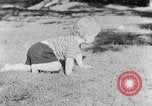 Immagine di Piccolo Ragazzo Kentucky United States USA, 1940, secondo 11 filmato di repertorio 65675050014