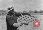 Image faux et berceau Kentucky United States USA, 1940, de la seconde 7 séquences d'archives historiques vidéo 65675050015