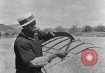 Image faux et berceau Kentucky United States USA, 1940, de la seconde 8 séquences d'archives historiques vidéo 65675050015
