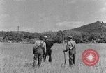 Image faux et berceau Kentucky United States USA, 1940, de la seconde 9 séquences d'archives historiques vidéo 65675050015