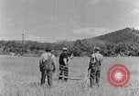 Image faux et berceau Kentucky United States USA, 1940, de la seconde 10 séquences d'archives historiques vidéo 65675050015