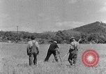 Image faux et berceau Kentucky United States USA, 1940, de la seconde 11 séquences d'archives historiques vidéo 65675050015