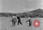 Image faux et berceau Kentucky United States USA, 1940, de la seconde 12 séquences d'archives historiques vidéo 65675050015