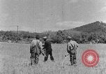 Image faux et berceau Kentucky United States USA, 1940, de la seconde 13 séquences d'archives historiques vidéo 65675050015