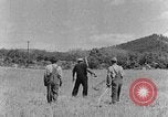 Image faux et berceau Kentucky United States USA, 1940, de la seconde 14 séquences d'archives historiques vidéo 65675050015