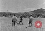 Image faux et berceau Kentucky United States USA, 1940, de la seconde 15 séquences d'archives historiques vidéo 65675050015
