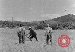 Image faux et berceau Kentucky United States USA, 1940, de la seconde 16 séquences d'archives historiques vidéo 65675050015