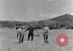 Image faux et berceau Kentucky United States USA, 1940, de la seconde 18 séquences d'archives historiques vidéo 65675050015