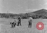 Image faux et berceau Kentucky United States USA, 1940, de la seconde 19 séquences d'archives historiques vidéo 65675050015
