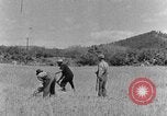 Image faux et berceau Kentucky United States USA, 1940, de la seconde 20 séquences d'archives historiques vidéo 65675050015