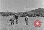 Image faux et berceau Kentucky United States USA, 1940, de la seconde 21 séquences d'archives historiques vidéo 65675050015