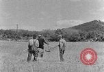 Image faux et berceau Kentucky United States USA, 1940, de la seconde 22 séquences d'archives historiques vidéo 65675050015