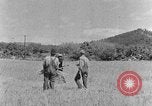 Image faux et berceau Kentucky United States USA, 1940, de la seconde 23 séquences d'archives historiques vidéo 65675050015