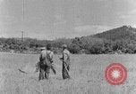 Image faux et berceau Kentucky United States USA, 1940, de la seconde 24 séquences d'archives historiques vidéo 65675050015
