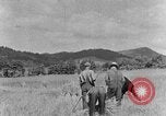 Image faux et berceau Kentucky United States USA, 1940, de la seconde 25 séquences d'archives historiques vidéo 65675050015
