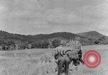 Image faux et berceau Kentucky United States USA, 1940, de la seconde 26 séquences d'archives historiques vidéo 65675050015