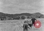 Image faux et berceau Kentucky United States USA, 1940, de la seconde 27 séquences d'archives historiques vidéo 65675050015