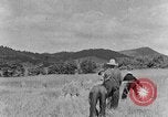 Image faux et berceau Kentucky United States USA, 1940, de la seconde 29 séquences d'archives historiques vidéo 65675050015