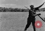 Image faux et berceau Kentucky United States USA, 1940, de la seconde 36 séquences d'archives historiques vidéo 65675050015