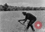 Image faux et berceau Kentucky United States USA, 1940, de la seconde 39 séquences d'archives historiques vidéo 65675050015