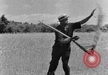 Image faux et berceau Kentucky United States USA, 1940, de la seconde 40 séquences d'archives historiques vidéo 65675050015