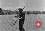 Image faux et berceau Kentucky United States USA, 1940, de la seconde 41 séquences d'archives historiques vidéo 65675050015