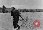 Image faux et berceau Kentucky United States USA, 1940, de la seconde 42 séquences d'archives historiques vidéo 65675050015