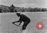 Image faux et berceau Kentucky United States USA, 1940, de la seconde 43 séquences d'archives historiques vidéo 65675050015