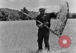 Image faux et berceau Kentucky United States USA, 1940, de la seconde 44 séquences d'archives historiques vidéo 65675050015