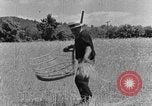 Image faux et berceau Kentucky United States USA, 1940, de la seconde 45 séquences d'archives historiques vidéo 65675050015