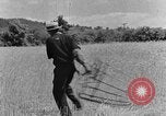Image faux et berceau Kentucky United States USA, 1940, de la seconde 46 séquences d'archives historiques vidéo 65675050015