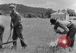 Image faux et berceau Kentucky United States USA, 1940, de la seconde 47 séquences d'archives historiques vidéo 65675050015