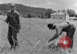 Image faux et berceau Kentucky United States USA, 1940, de la seconde 48 séquences d'archives historiques vidéo 65675050015