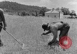 Image faux et berceau Kentucky United States USA, 1940, de la seconde 49 séquences d'archives historiques vidéo 65675050015