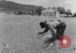 Image faux et berceau Kentucky United States USA, 1940, de la seconde 50 séquences d'archives historiques vidéo 65675050015