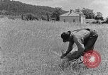 Image faux et berceau Kentucky United States USA, 1940, de la seconde 51 séquences d'archives historiques vidéo 65675050015