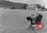 Image faux et berceau Kentucky United States USA, 1940, de la seconde 52 séquences d'archives historiques vidéo 65675050015
