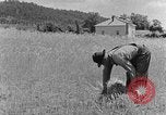 Image faux et berceau Kentucky United States USA, 1940, de la seconde 54 séquences d'archives historiques vidéo 65675050015
