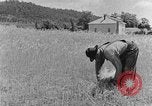 Image faux et berceau Kentucky United States USA, 1940, de la seconde 55 séquences d'archives historiques vidéo 65675050015