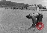 Image faux et berceau Kentucky United States USA, 1940, de la seconde 56 séquences d'archives historiques vidéo 65675050015