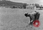 Image faux et berceau Kentucky United States USA, 1940, de la seconde 57 séquences d'archives historiques vidéo 65675050015