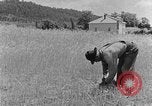 Image faux et berceau Kentucky United States USA, 1940, de la seconde 58 séquences d'archives historiques vidéo 65675050015