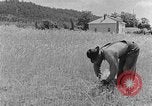 Image faux et berceau Kentucky United States USA, 1940, de la seconde 59 séquences d'archives historiques vidéo 65675050015
