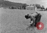 Image faux et berceau Kentucky United States USA, 1940, de la seconde 60 séquences d'archives historiques vidéo 65675050015
