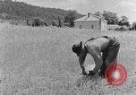 Image faux et berceau Kentucky United States USA, 1940, de la seconde 61 séquences d'archives historiques vidéo 65675050015