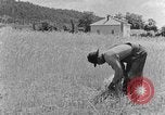 Image faux et berceau Kentucky United States USA, 1940, de la seconde 62 séquences d'archives historiques vidéo 65675050015