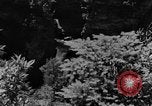 Image Mountain Valley Kentucky United States USA, 1940, de la seconde 13 séquences d'archives historiques vidéo 65675050016